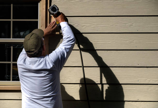 Best Vinyl Siding Installation  in Blytheville, AR
